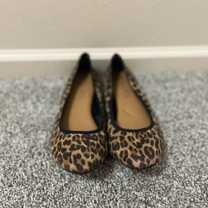 Cheetah flats